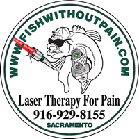 Logo-Fish Without Pain