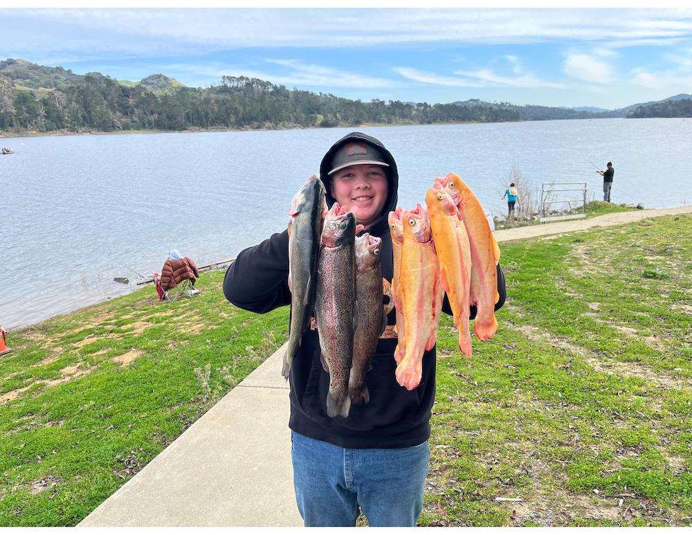 PabloDanielGrass page 001